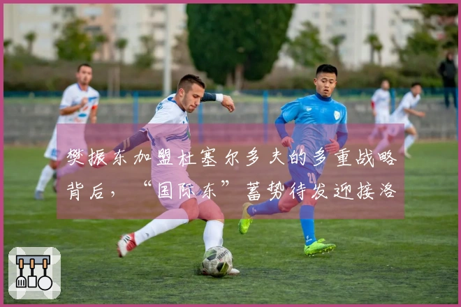 樊振东加盟杜塞尔多夫的多重战略背后，“国际东”蓄势待发迎接洛杉矶奥运