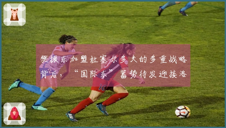 樊振东加盟杜塞尔多夫的多重战略背后，“国际东”蓄势待发迎接洛杉矶奥运